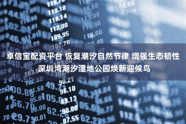 卓信宝配资平台 恢复潮汐自然节律 增强生态韧性 深圳湾潮汐湿地公园焕新迎候鸟