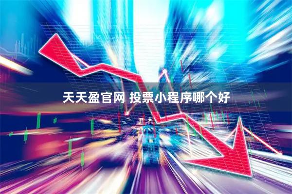 天天盈官网 投票小程序哪个好